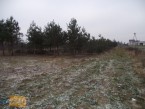 Działka do wynajęcia, 1000 m2, cena: 110 000,00 PLN, Mrozy, kontakt: PL +48 517 686 600
