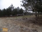 Działka do wynajęcia, 1000 m2, cena: 110 000,00 PLN, Mrozy, kontakt: PL +48 517 686 600