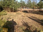 Działka do wynajęcia, 1000 m2, cena: 110 000,00 PLN, Mrozy, kontakt: PL +48 517 686 600