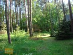 Dom na sprzedaż, powierzchnia: 300 m2, pokoje: 5, cena: 420 000,00 PLN, Adamów-Wieś, kontakt: PL +48 694 463 417