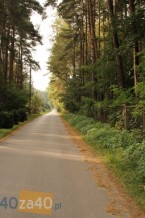 Dom na sprzedaż, powierzchnia: 300 m2, pokoje: 5, cena: 420 000,00 PLN, Adamów-Wieś, kontakt: PL +48 694 463 417