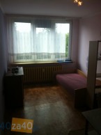Mieszkanie do wynajęcia, pokoje: 1, cena: 690,00 PLN, Bytom, kontakt: PL +48 889 335 355