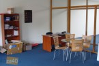 Lokal do wynajęcia, cena: 700,00 PLN, Klaudyn, kontakt: PL +48 668 300 374