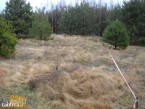 Działka na sprzedaż, 1000 m2, cena: 11 300,00 PLN, Cieksyn, kontakt: PL +48 509 673 988