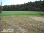 Działka na sprzedaż, 1000 m2, cena: 11 300,00 PLN, Cieksyn, kontakt: PL +48 509 673 988