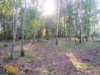 Działka na sprzedaż, 1637 m2, cena: 260 000,00 PLN, Warszawa, kontakt: PL +48 663 357 223