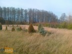 Działka na sprzedaż, 3000 m2, cena: 195 000,00 PLN, Chrzypsko Wielkie, kontakt: PL +48 607 414 918