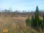 Działka na sprzedaż, 3000 m2, cena: 195 000,00 PLN, Chrzypsko Wielkie, kontakt: PL +48 607 414 918