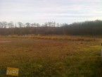 Działka na sprzedaż, 3000 m2, cena: 195 000,00 PLN, Chrzypsko Wielkie, kontakt: PL +48 607 414 918