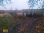 Działka na sprzedaż, 3000 m2, cena: 195 000,00 PLN, Chrzypsko Wielkie, kontakt: PL +48 607 414 918