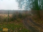Działka na sprzedaż, 3000 m2, cena: 195 000,00 PLN, Chrzypsko Wielkie, kontakt: PL +48 607 414 918