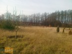 Działka na sprzedaż, 3000 m2, cena: 195 000,00 PLN, Chrzypsko Wielkie, kontakt: PL +48 607 414 918