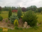 Działka na sprzedaż, 3000 m2, cena: 195 000,00 PLN, Chrzypsko Wielkie, kontakt: PL +48 607 414 918