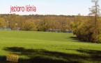 Działka na sprzedaż, 3000 m2, cena: 195 000,00 PLN, Chrzypsko Wielkie, kontakt: PL +48 607 414 918