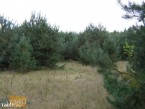Działka na sprzedaż, 1000 m2, cena: 10 800,00 PLN, Cieksyn, kontakt: PL +48 509 673 988