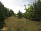 Działka na sprzedaż, 1000 m2, cena: 10 800,00 PLN, Cieksyn, kontakt: PL +48 509 673 988