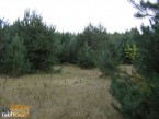 Działka na sprzedaż, 1000 m2, cena: 10 800,00 PLN, Cieksyn, kontakt: PL +48 509 673 988
