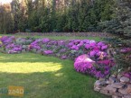 Dom na sprzedaż, powierzchnia: 309.3 m2, pokoje: 7, cena: 750 000,00 PLN, Bielawa, kontakt: PL +48 504 165 434