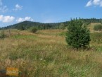 Działka na sprzedaż, 1300 m2, cena: 130 000,00 PLN, Tylicz, kontakt: PL +48 503 410 975