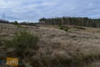 Działka na sprzedaż, 1158 m2, cena: 59 900,00 PLN, Robakowo, kontakt: PL +48 513 263 595