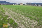 Działka na sprzedaż, 1242 m2, cena: 130 000,00 PLN, Ustroń, kontakt: PL +48 693 152 594