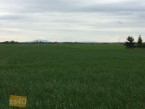 Działka na sprzedaż, 1000 m2, cena: 79 000,00 PLN, Lutynia, kontakt: PL +48 504 133 923