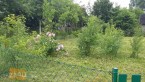Działka na sprzedaż, 300 m2, cena: 7 000,00 PLN, Węgorzewo, kontakt: PL +48 601 612 713