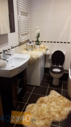 Mieszkanie do wynajęcia, pokoje: 1, cena: 1 700,00 PLN, Warszawa, kontakt: PL +48 608 577 042