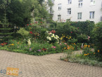 Mieszkanie do wynajęcia, pokoje: 2, cena: 2 400,00 PLN, Warszawa, kontakt: PL +48 511 165 836