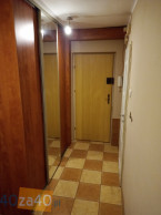 Mieszkanie do wynajęcia, pokoje: 2, cena: 1 290,00 PLN, Katowice, kontakt: PL +48 518 530 377