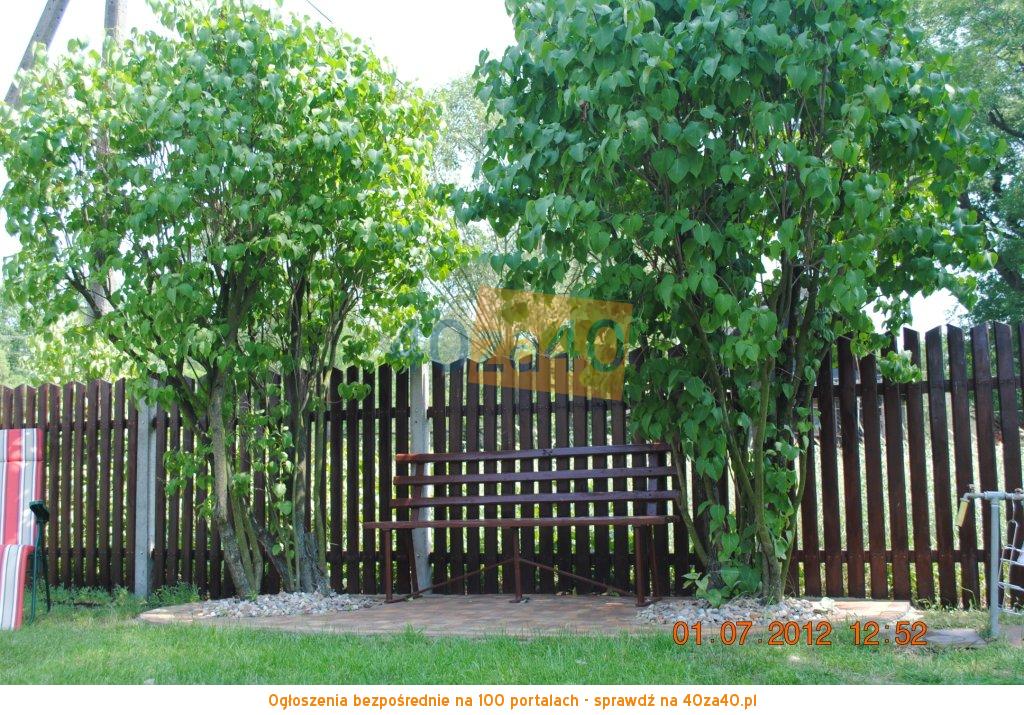Dom do wynajęcia, powierzchnia: 100 m2, pokoje: 5, cena: 800,00 PLN, kontakt: 606498739