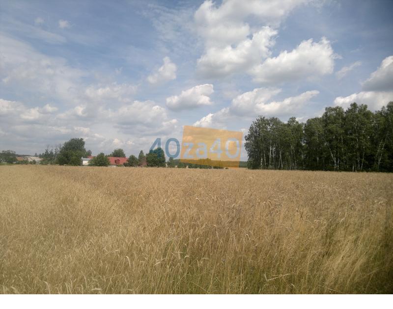 Dom na sprzedaż, powierzchnia: 100 m2, cena: 250 000,00 PLN, Ługi, kontakt: 503 312 317