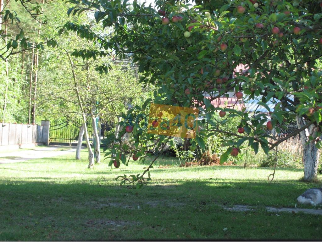 Dom na sprzedaż, powierzchnia: 300 m2, cena: 525 000,00 PLN, Krasnobród, kontakt: 501158468