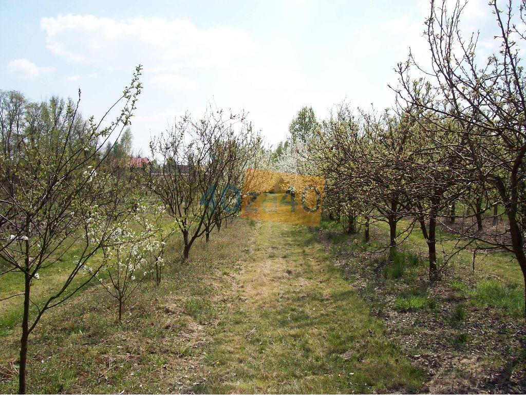Dom na sprzedaż, powierzchnia: 60 m2, pokoje: 2, cena: 135 000,00 PLN, Witaszyn, kontakt: 605579246