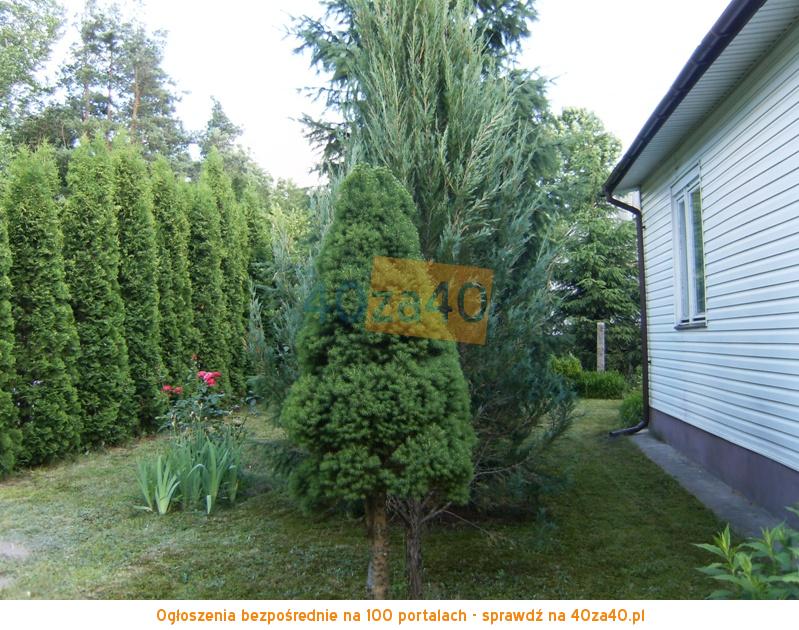Dom na sprzedaż, powierzchnia: 139 m2, pokoje: 2, cena: 180 000,00 PLN, Obryte, kontakt: 663493590