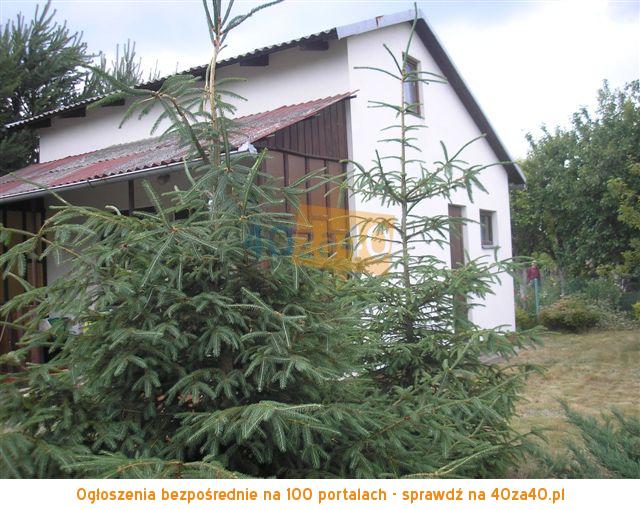 Dom na sprzedaż, powierzchnia: 30 m2, pokoje: 2, cena: 45 000,00 PLN, Malcanów, kontakt: 603338596