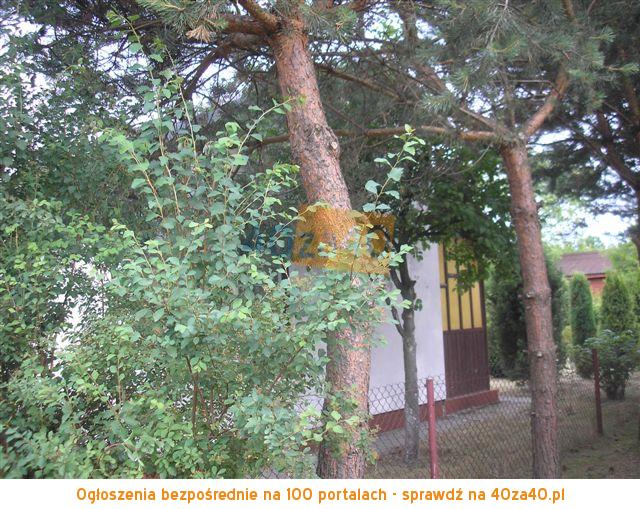 Dom na sprzedaż, powierzchnia: 30 m2, pokoje: 2, cena: 45 000,00 PLN, Malcanów, kontakt: 603338596
