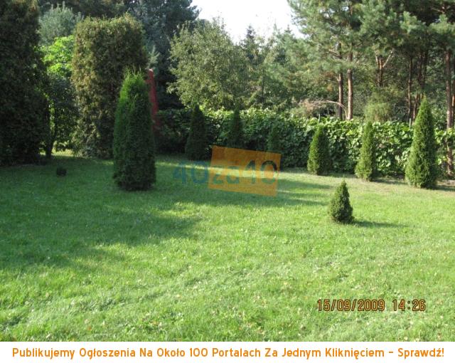 Dom na sprzedaż, powierzchnia: 30 m2, pokoje: 2, cena: 60 000,00 PLN, Topolina, kontakt: 608882877