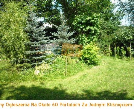 Dom na sprzedaż, powierzchnia: 50 m2, pokoje: 2, cena: 90 000,00 PLN, Obłudzin, kontakt: 607877785