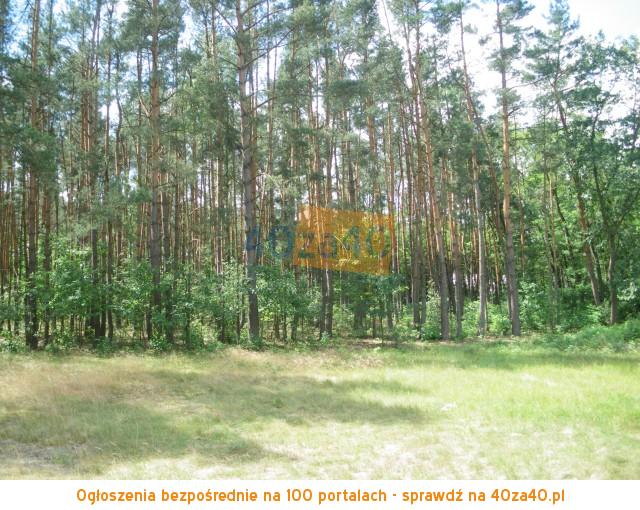 Dom na sprzedaż, powierzchnia: 116 m2, pokoje: 3, cena: 149 000,00 PLN, Rejowiec, kontakt: 795659795