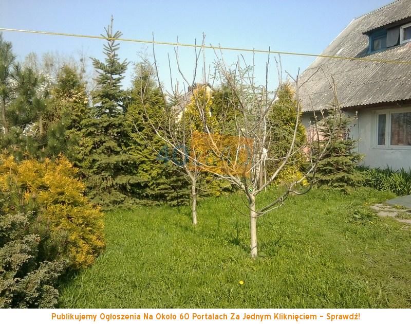 Dom na sprzedaż, powierzchnia: 85 m2, pokoje: 4, cena: 179 000,00 PLN, Miłobędzyn, kontakt: 518598431