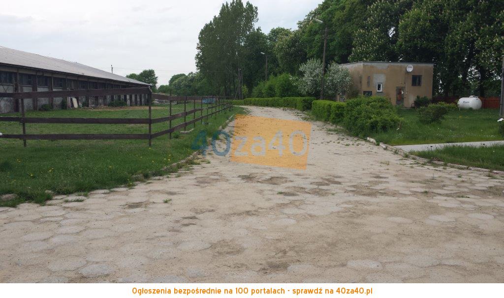 Dom na sprzedaż, powierzchnia: 120 m2, pokoje: 4, cena: 2 600 000,00 PLN, Rozbitek, kontakt: 509401390