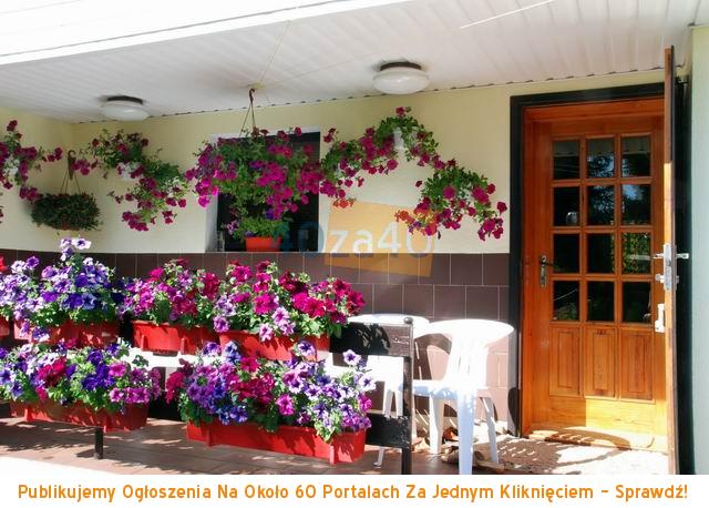 Dom na sprzedaż, powierzchnia: 700 m2, pokoje: 4, cena: 320 000,00 PLN, Podjazy, kontakt: 508205888
