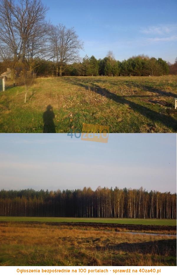 Dom na sprzedaż, powierzchnia: 90 m2, pokoje: 4, cena: 95 000,00 PLN, Chochół, kontakt: 660939867