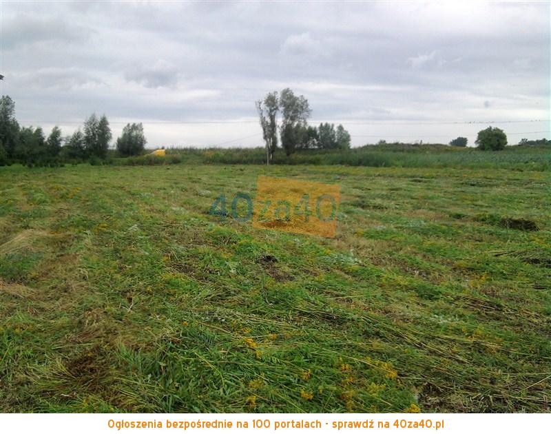 Działka na sprzedaż, 1000 m2, cena: 100 000,00 PLN, Trzcinisko, kontakt: 601455660