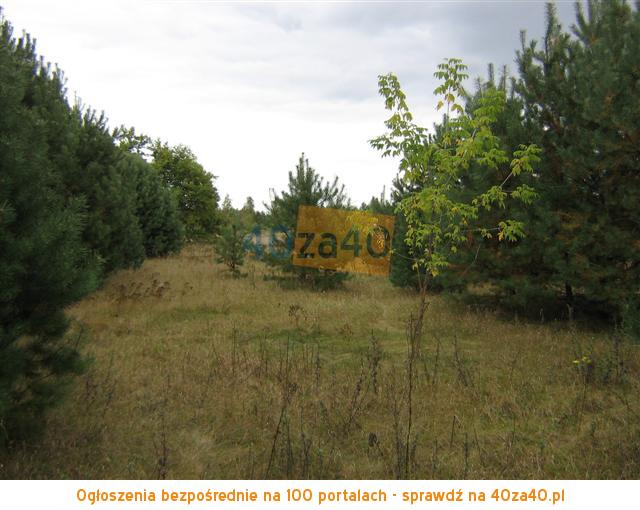 Działka na sprzedaż, 1000 m2, cena: 11 500,00 PLN, Cieksyn, kontakt: 509673988503823416