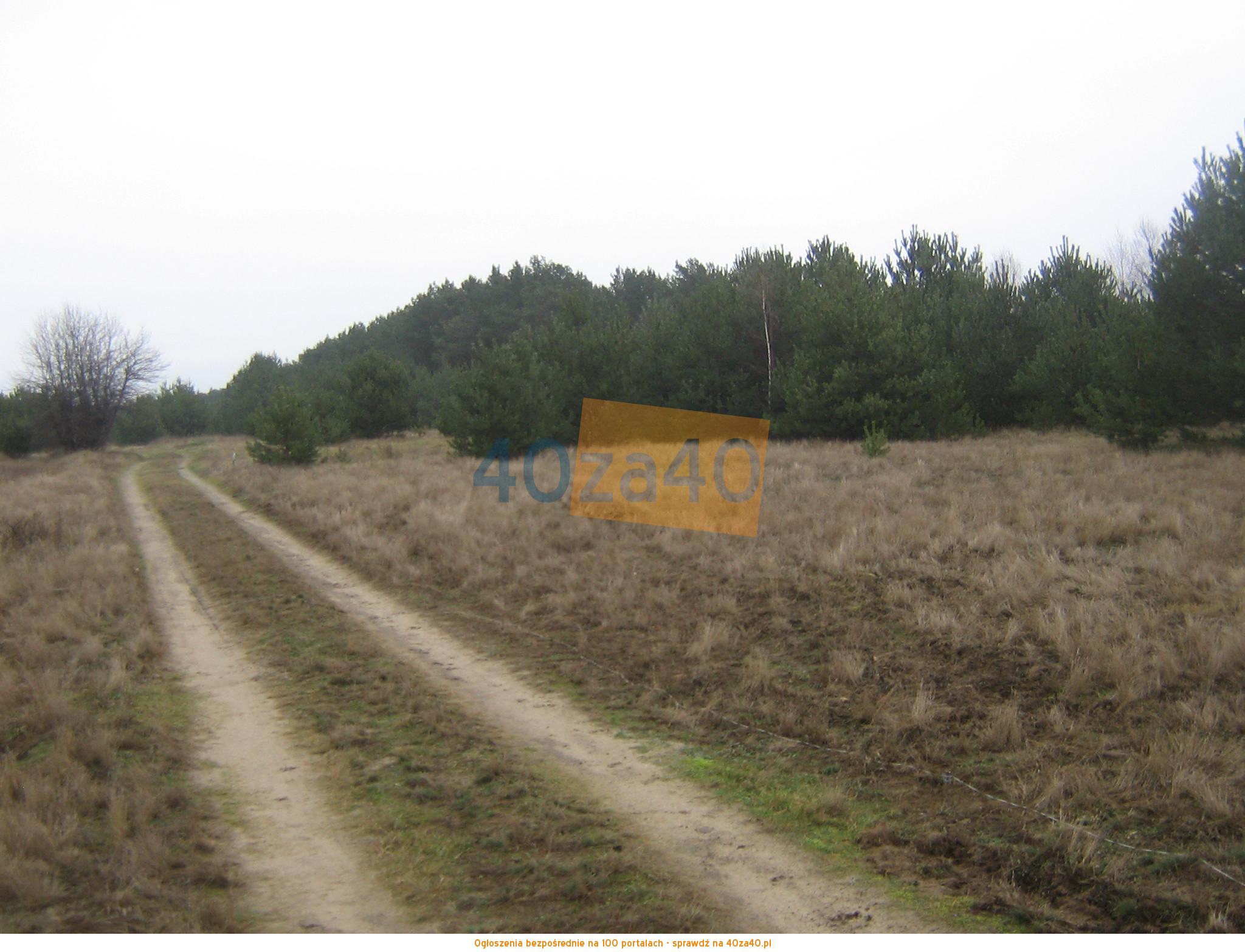 Działka na sprzedaż, 1000 m2, cena: 11 500,00 PLN, Cieksyn, kontakt: 509673988503823416