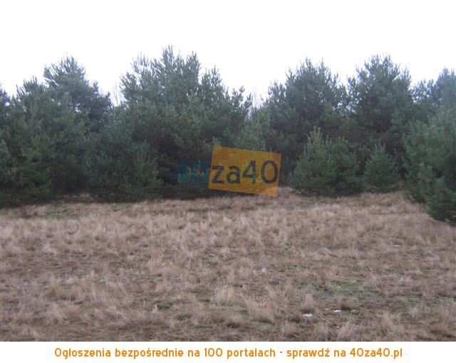 Działka na sprzedaż, 1000 m2, cena: 11 500,00 PLN, Cieksyn, kontakt: 509673988503823416