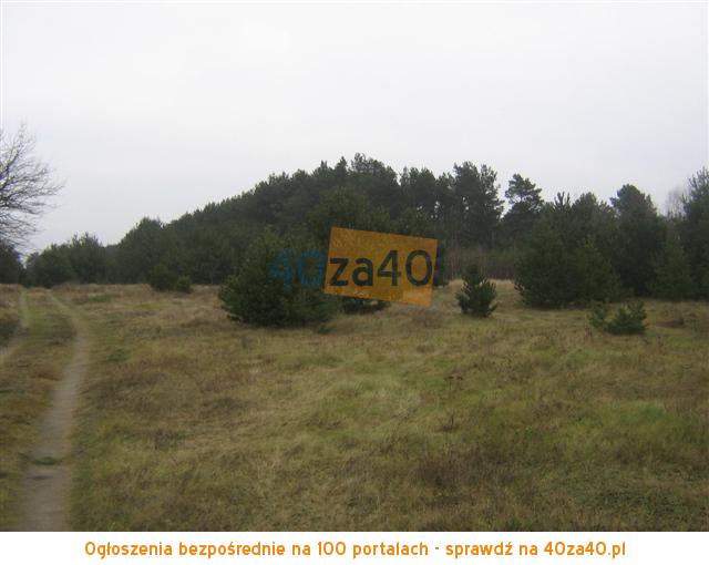 Działka na sprzedaż, 1000 m2, cena: 11 500,00 PLN, Cieksyn, kontakt: 509673988503823416