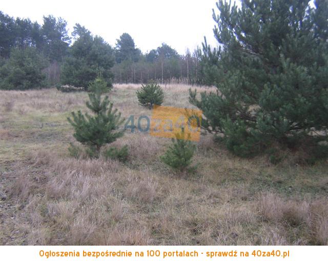 Działka na sprzedaż, 1000 m2, cena: 11 500,00 PLN, Cieksyn, kontakt: 509673988503823416